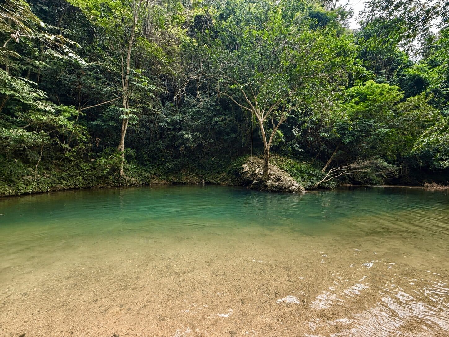 Orilla del río y vegetación tropical en Doradal